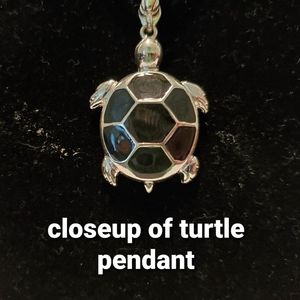 EC black and silver turtle necklace and earrings